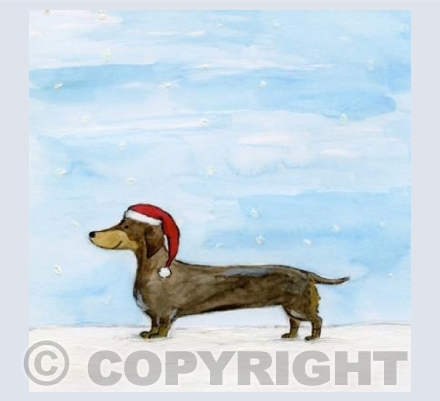Dachshund in the snow!