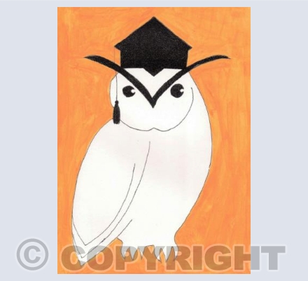 The Educated Owl