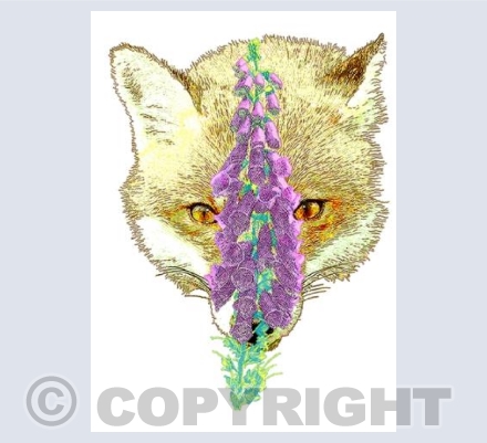 Fox-gloves