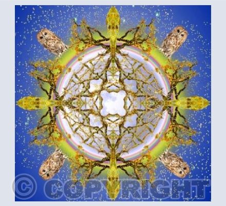 Watchers on a Starry, Moon Light Night. Moon & stars.