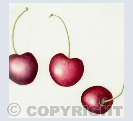 three cherries