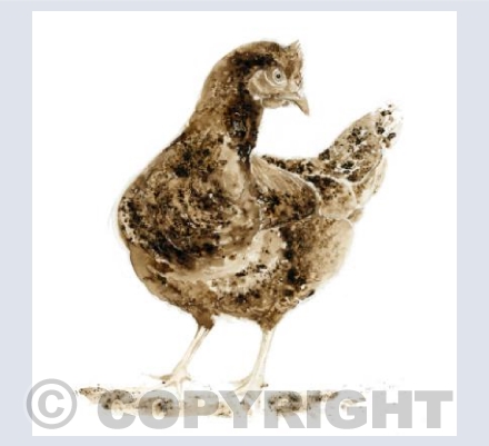 Little Brown Hen