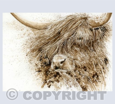 Hamish