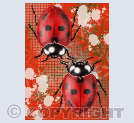 Ladybirds - Red