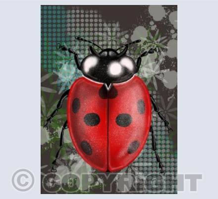 Ladybird - dark green