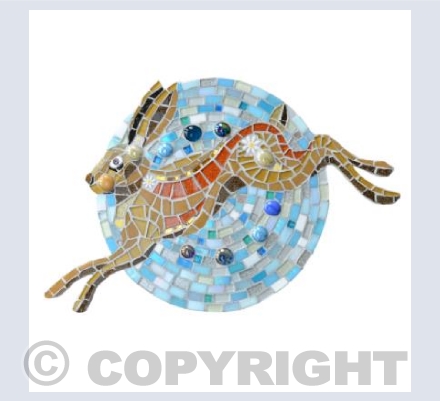 The Hare & The Moon
