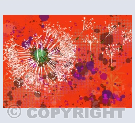 Make a Wish - Red