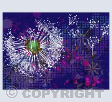 Make a Wish - Purple