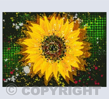 Sunflower - Green
