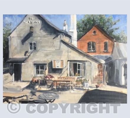 Sunny Trout Inn 2017