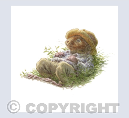 Ratty Sitting by the Road