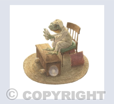 Toad Playing Cars
