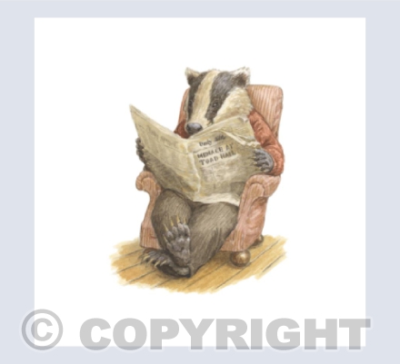 Badger Reading the Newspaper