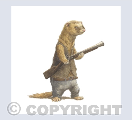 Ferret with a Gun