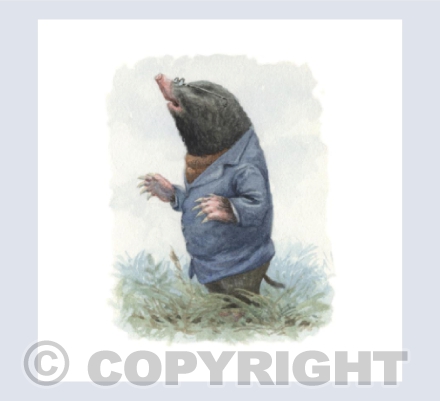 Mole Smells Home