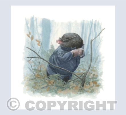 Mole In The Wild Woods