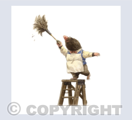 Mole Spring Cleaning