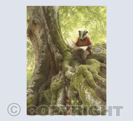 Badgers Morning Paper