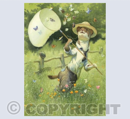 Catching Butterflies