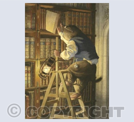 Night-Time Reading
