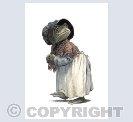 Toad Disguised As A Washerwoman