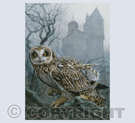 She Guarded The Castle