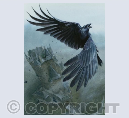 The Raven
