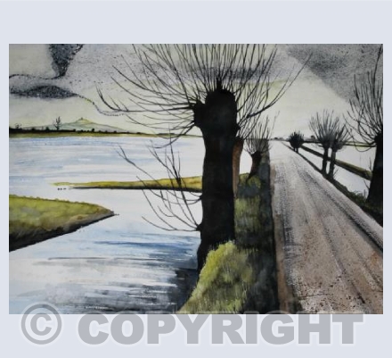 Murmuration Over Floods