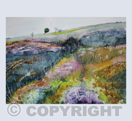 Colours of the Quantock Hills