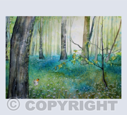 Bluebell Glade