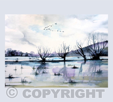 Geese Flying