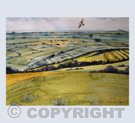 Skylark above the Mendips