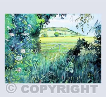 Hedgerow View