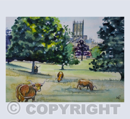 Cathedral Cows