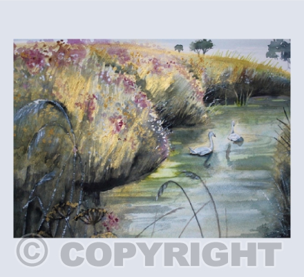 'September Glow'