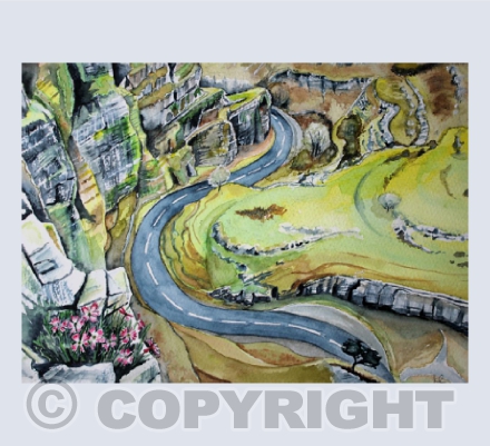 Cheddar Gorge Pinks