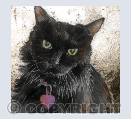 Good Luck Black Cat