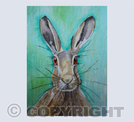 Hare