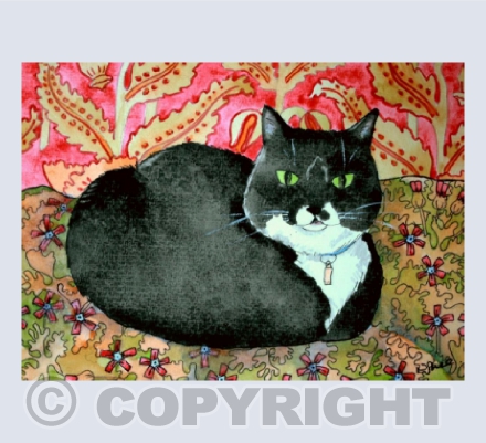 Cat Comforts