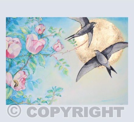 Summer Swifts