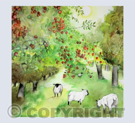 Somerset Orchard