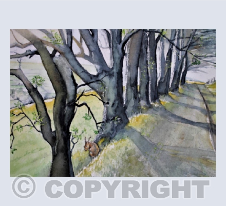 Hare on Draycott Sleights