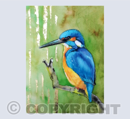 Kingfisher