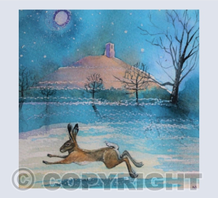 Winter Hare