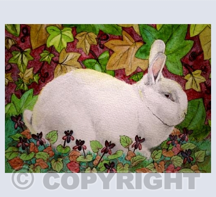 White Rabbit