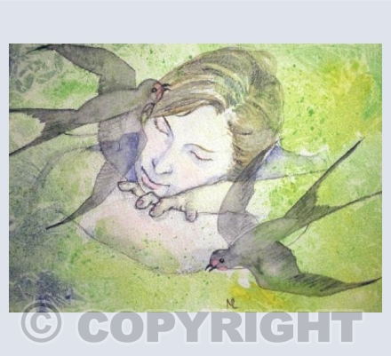 Dreaming of Swallows