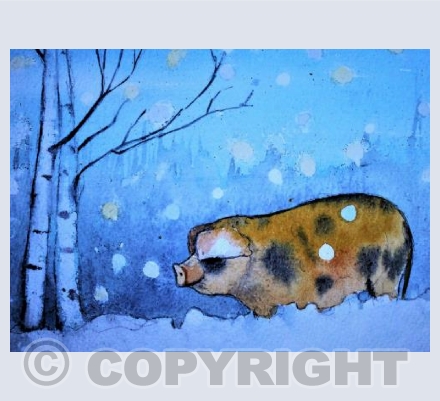 Pig in Snow