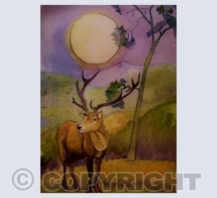 Majestic Stag