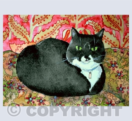 Kate's Cat