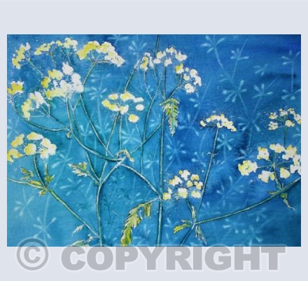 Cowparsley and Goose Grass